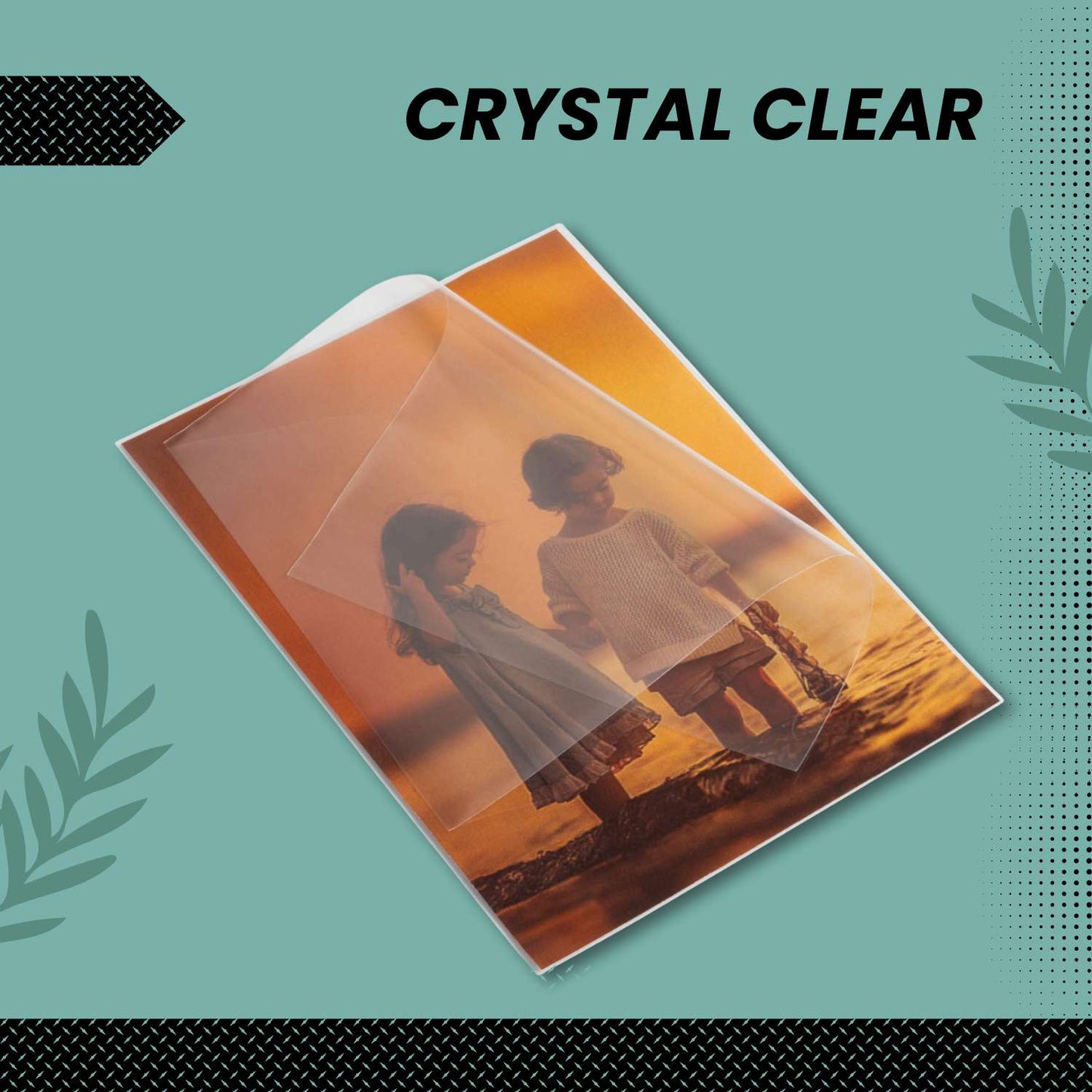 5x7 Archival Photograph Sleeves (100-Count)