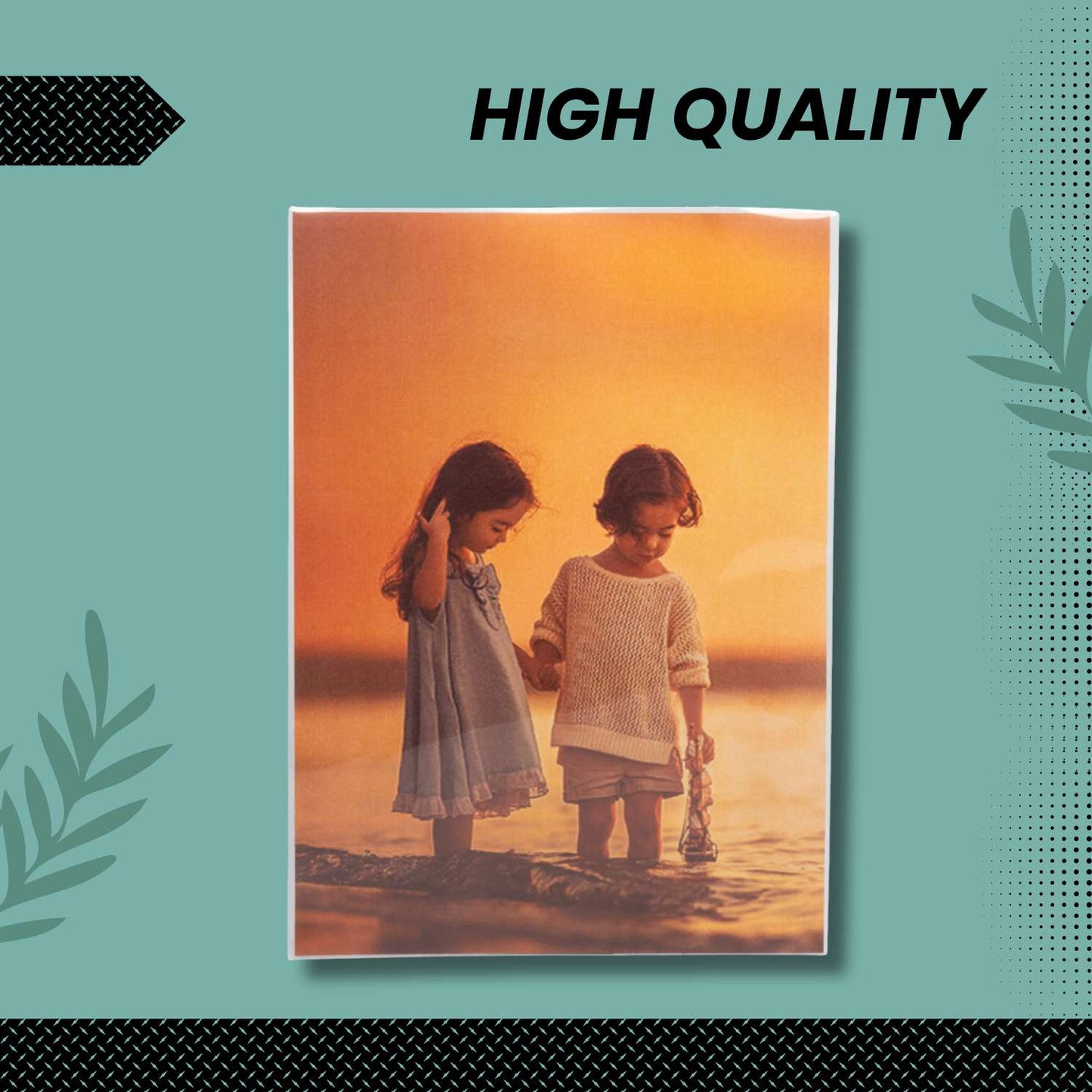 5x7 Archival Photograph Sleeves (100-Count)