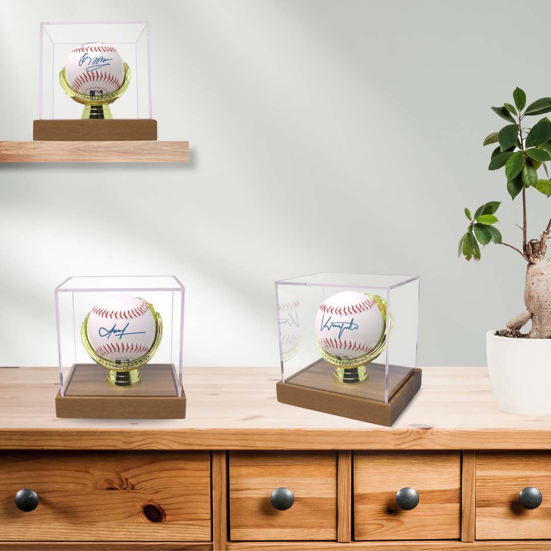 Gold Glove Baseball Display