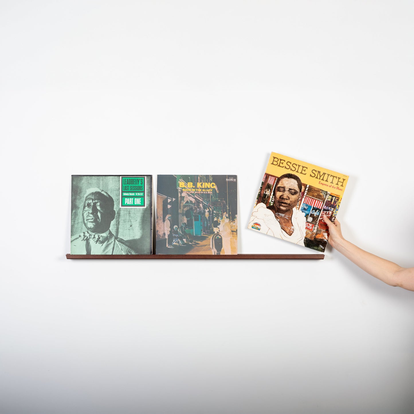 Vinyl Record Display Shelf