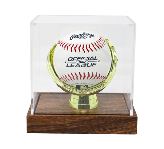 Gold Glove Baseball Display