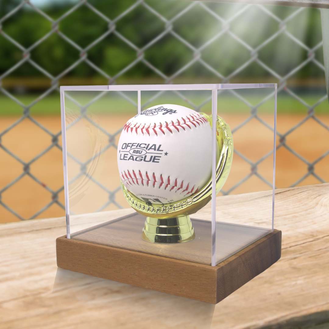 Gold Glove Baseball Display