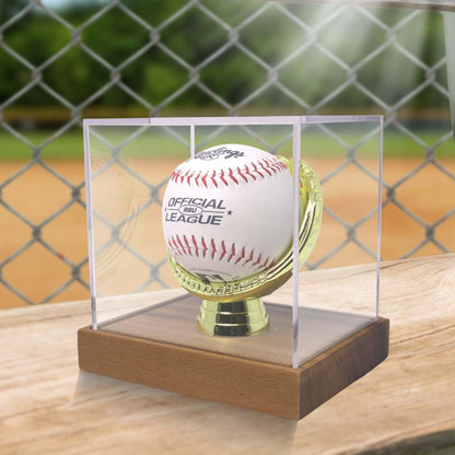 Gold Glove Baseball Display
