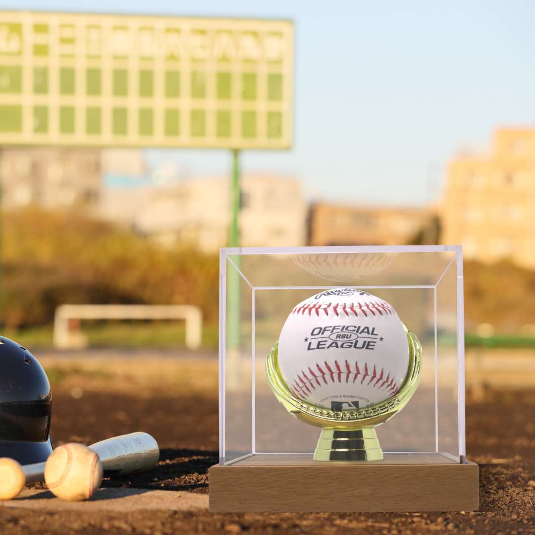 Gold Glove Baseball Display