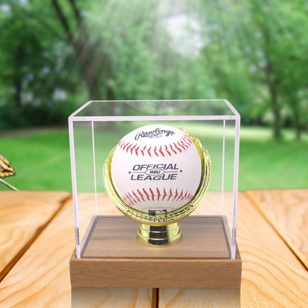 Gold Glove Baseball Display