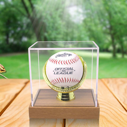 Gold Glove Baseball Display