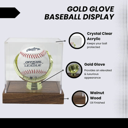 Gold Glove Baseball Display