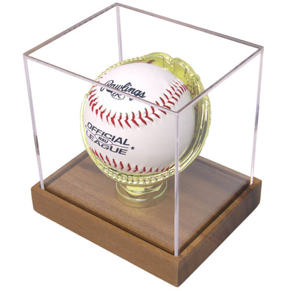 Gold Glove Baseball Display