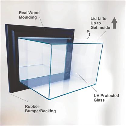 Real Glass Wall-Mounted Baseball Base Display Case
