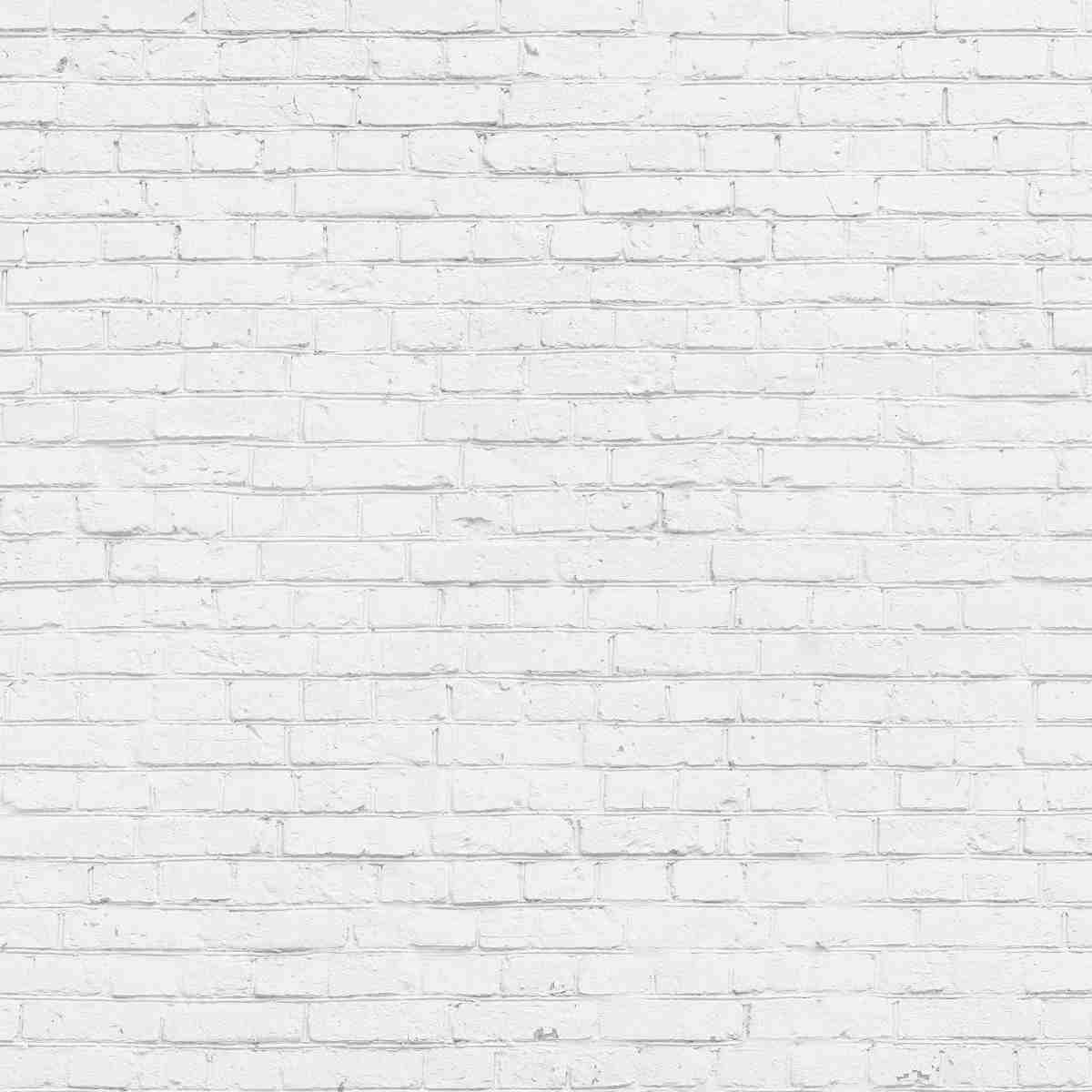 collectible display cases from display zone