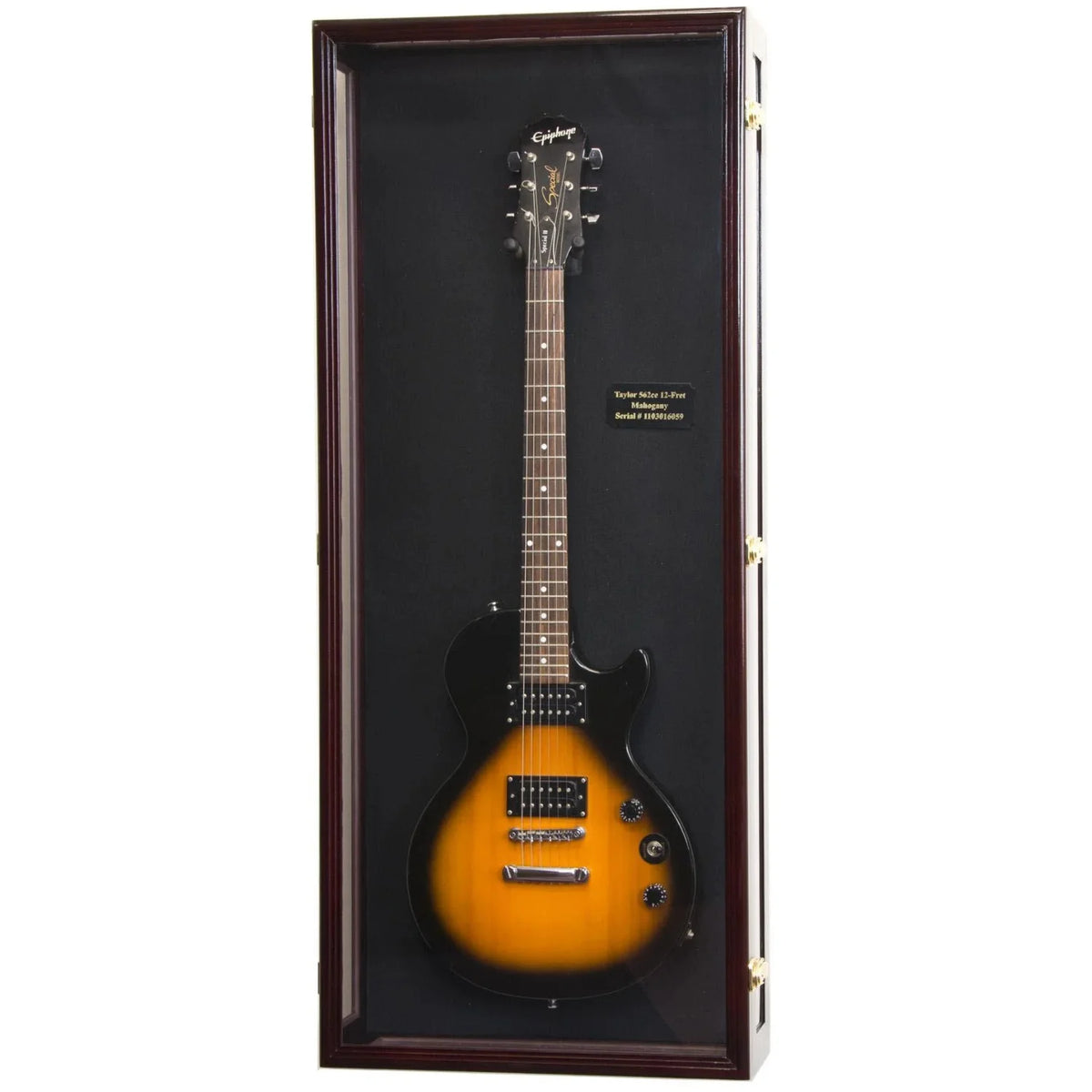 Clear View Guitar Display Case for Electric or Acoustic Guitars