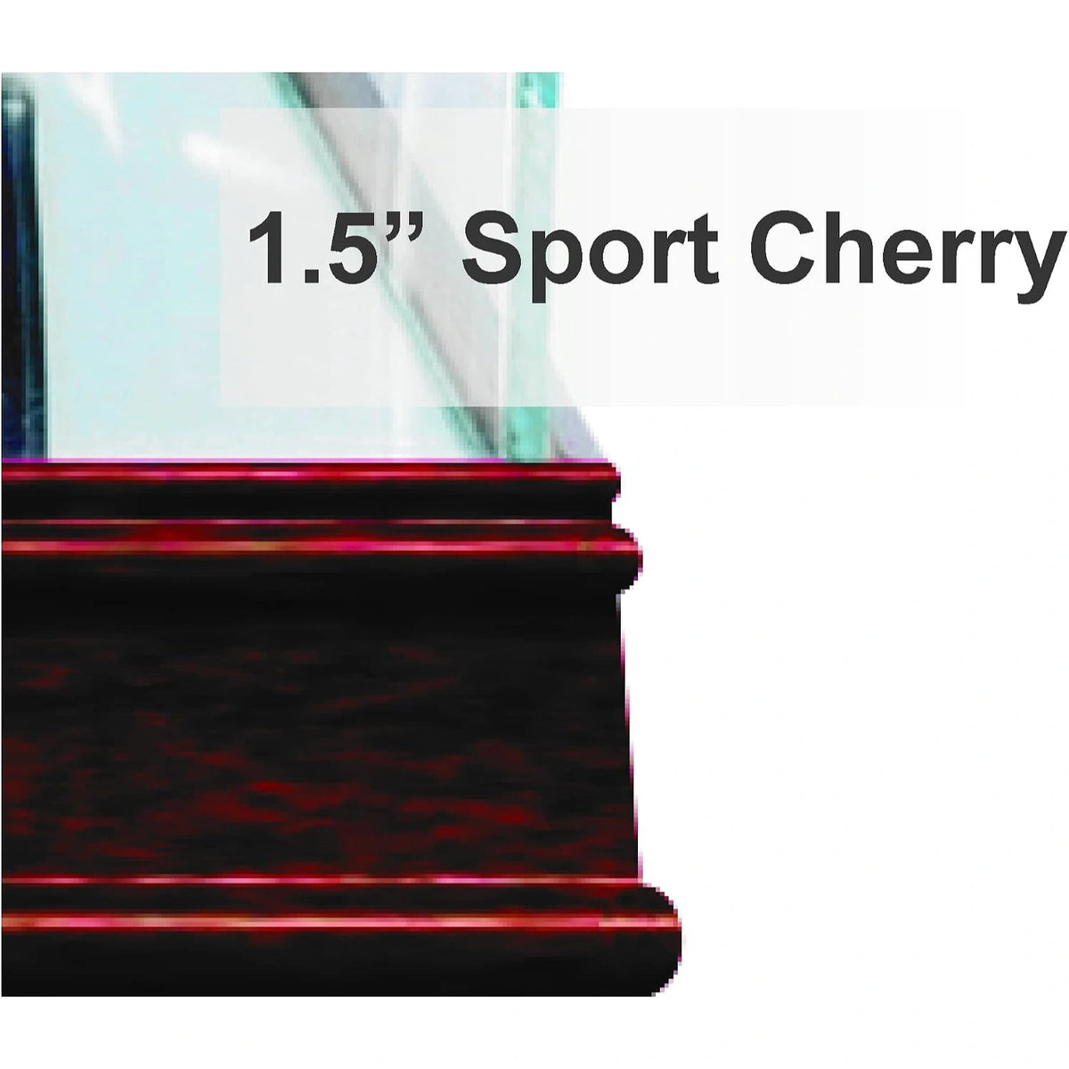 Real Glass 1/4th Scale Figurine Display Case
