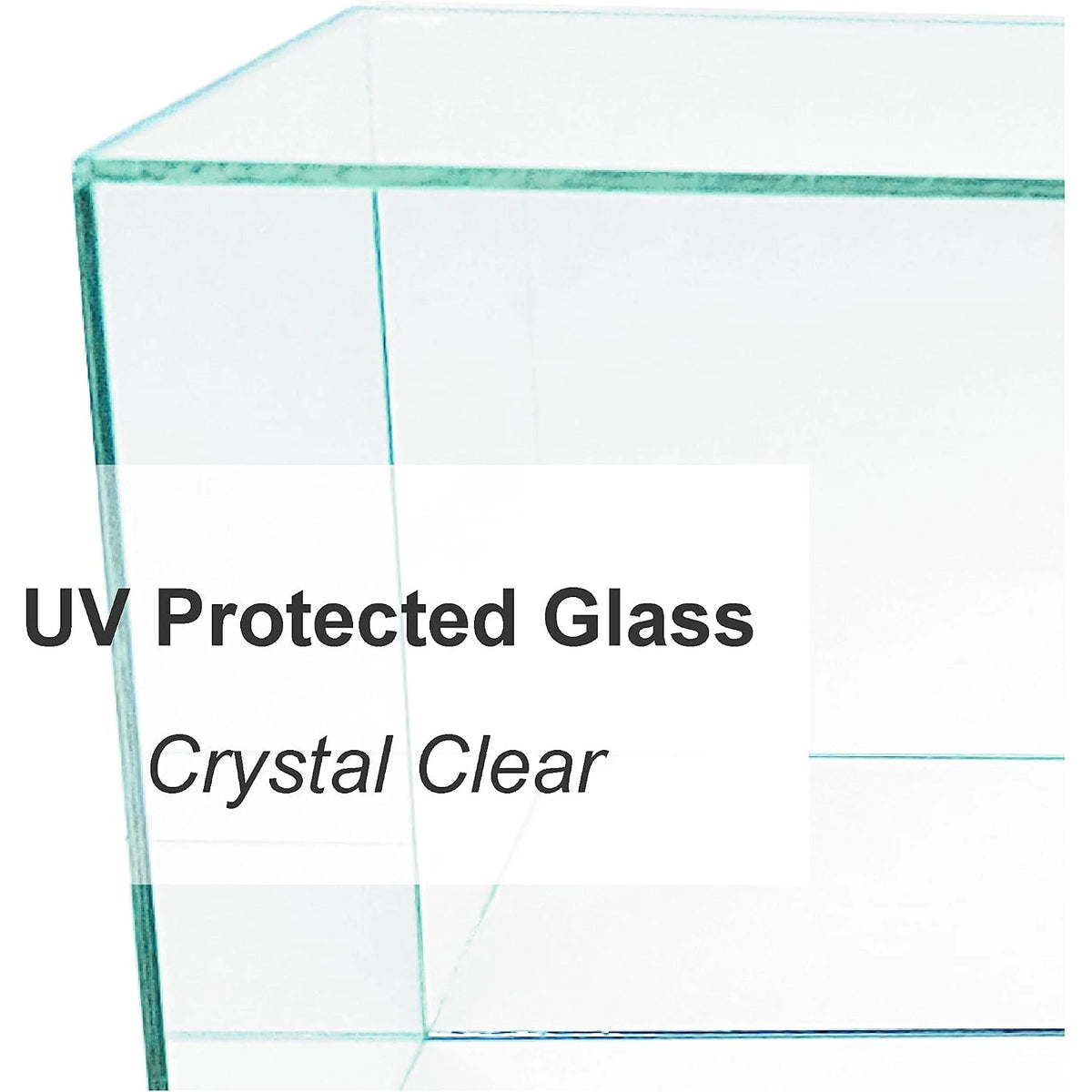 Real Glass 1/4th Scale Figurine Display Case
