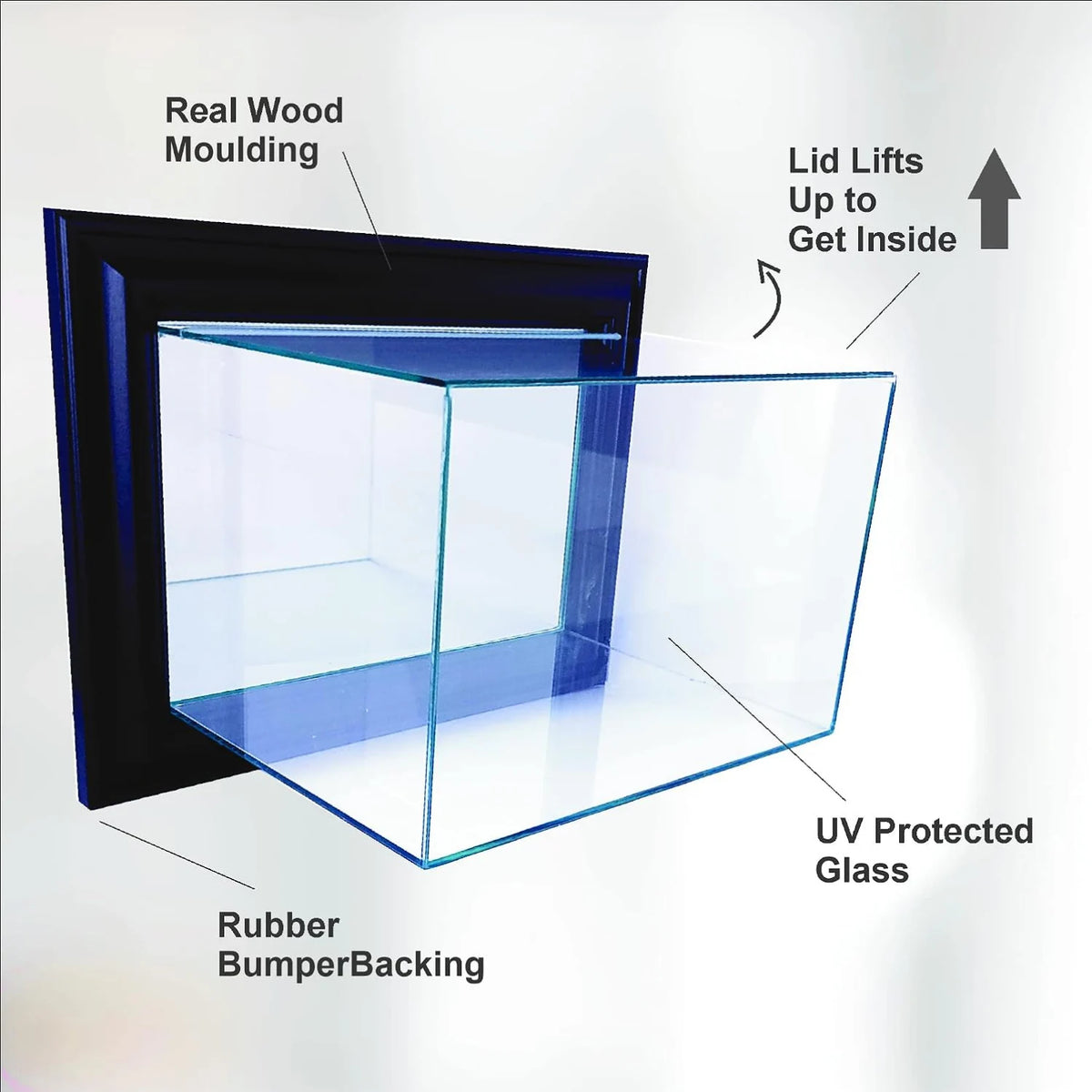 Real Glass Wall Mounted Golf Ball Display Case